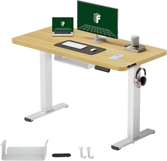 FLEXISPOT Escritorio Elevable 120x60